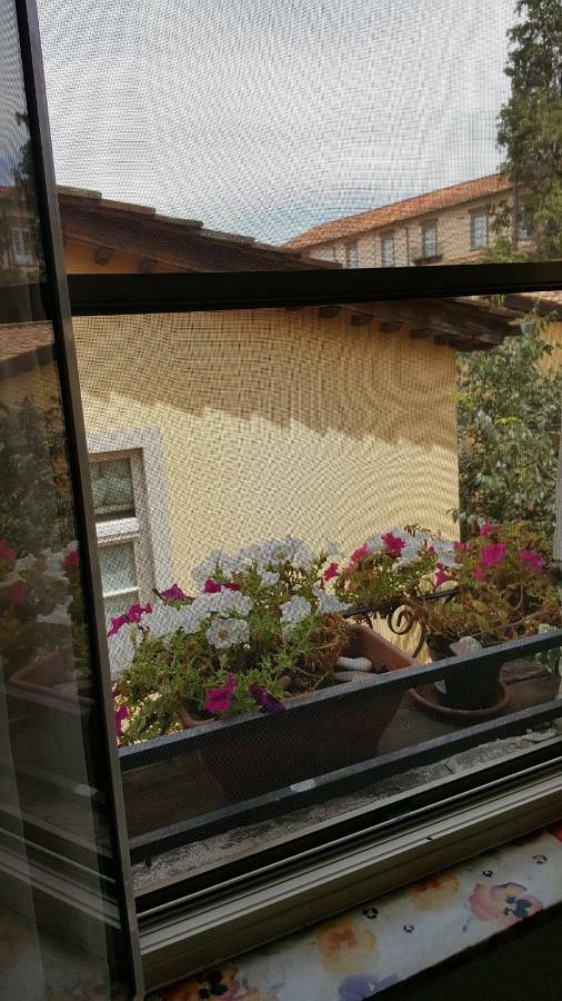 Mavi'S Bedrooms Lucca Bagian luar foto