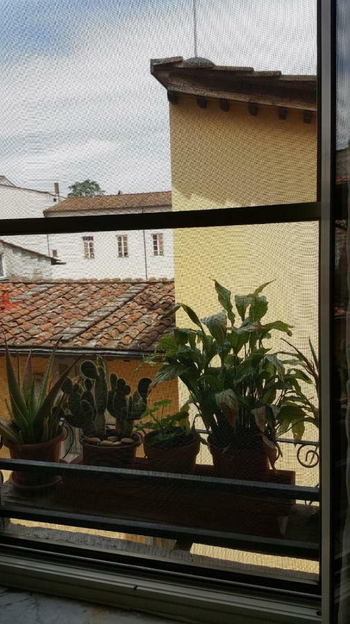 Mavi'S Bedrooms Lucca Bagian luar foto